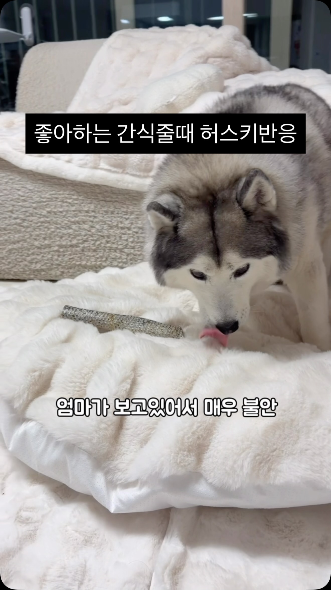 바사삭 매콤치킨떡볶이