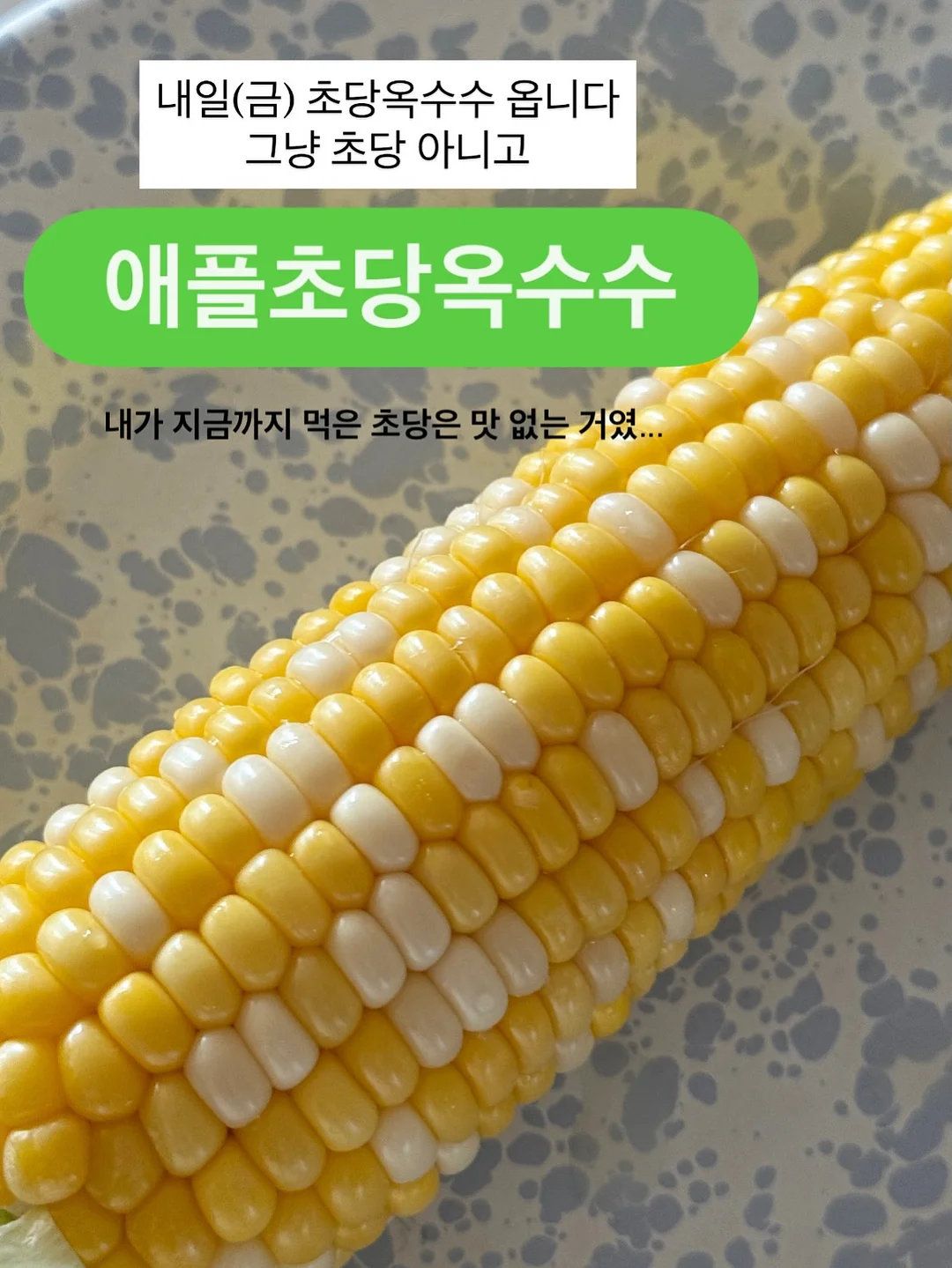 밀키튼 칼슘과 단백질 1