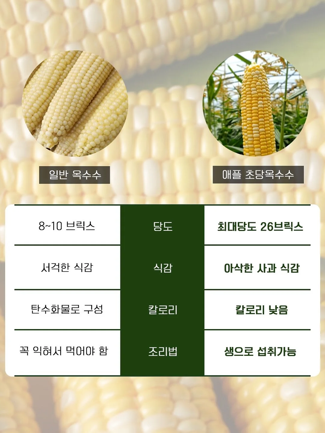 밀키튼 칼슘과 단백질 7