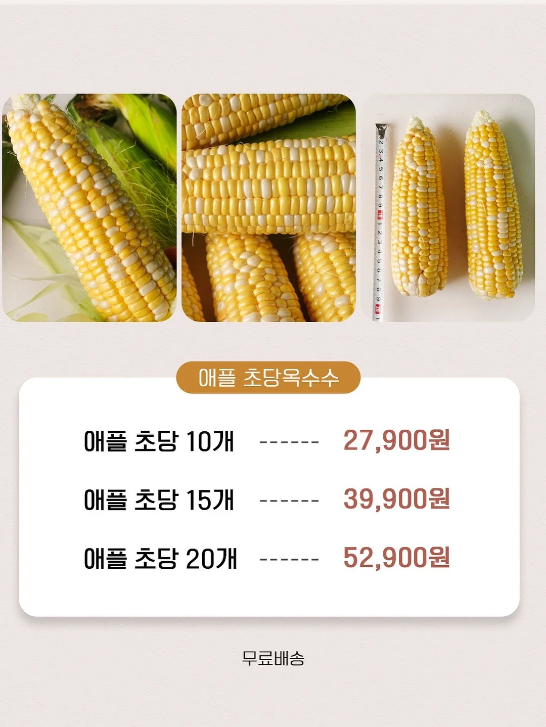 밀키튼 칼슘과 단백질 9