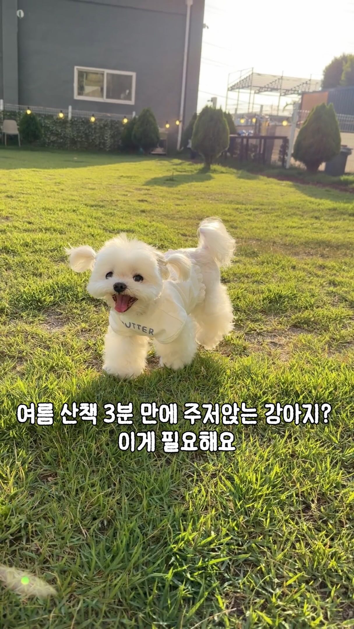 브랜든 이불 압축 파우치