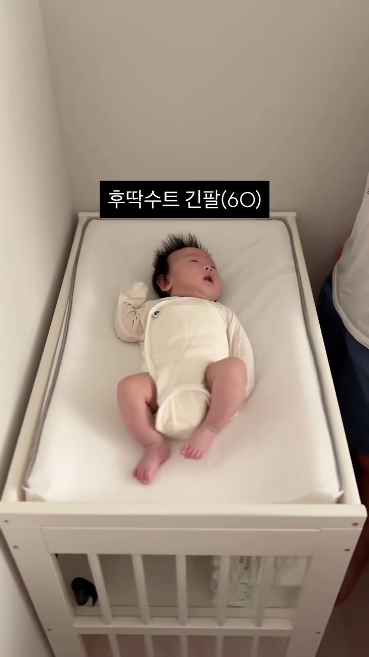 트윈콜렉티브 해바라기 컬렉션