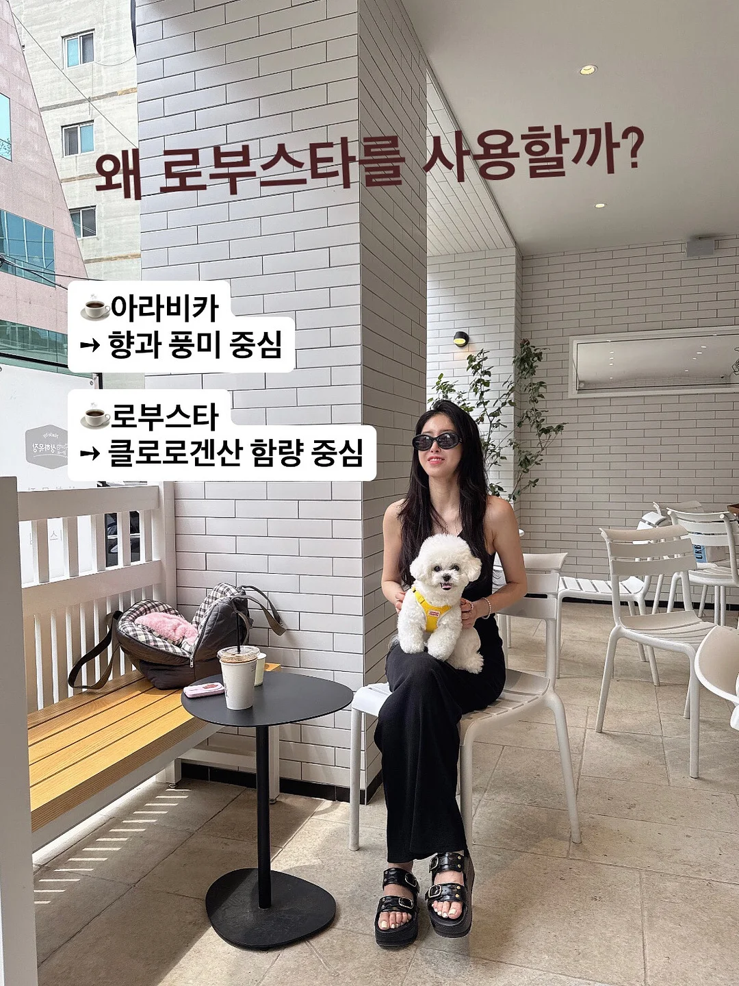 플리츠 3
