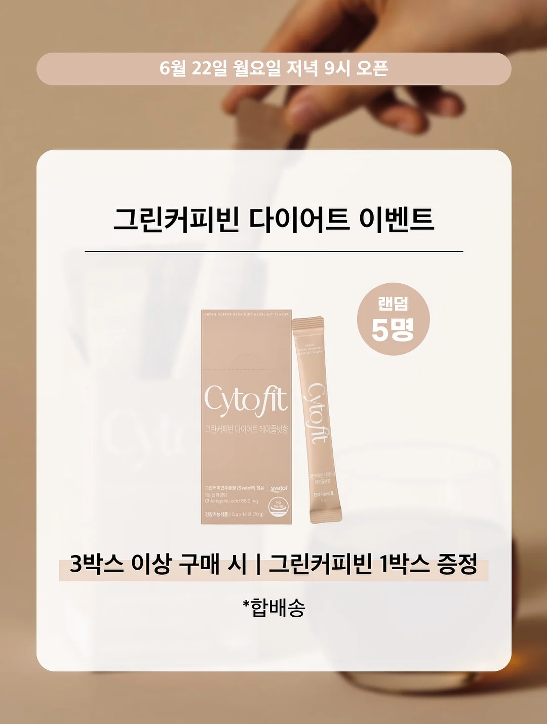 플리츠 5