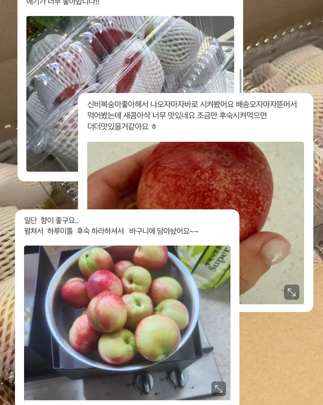 스승의날 꽃다발 12
