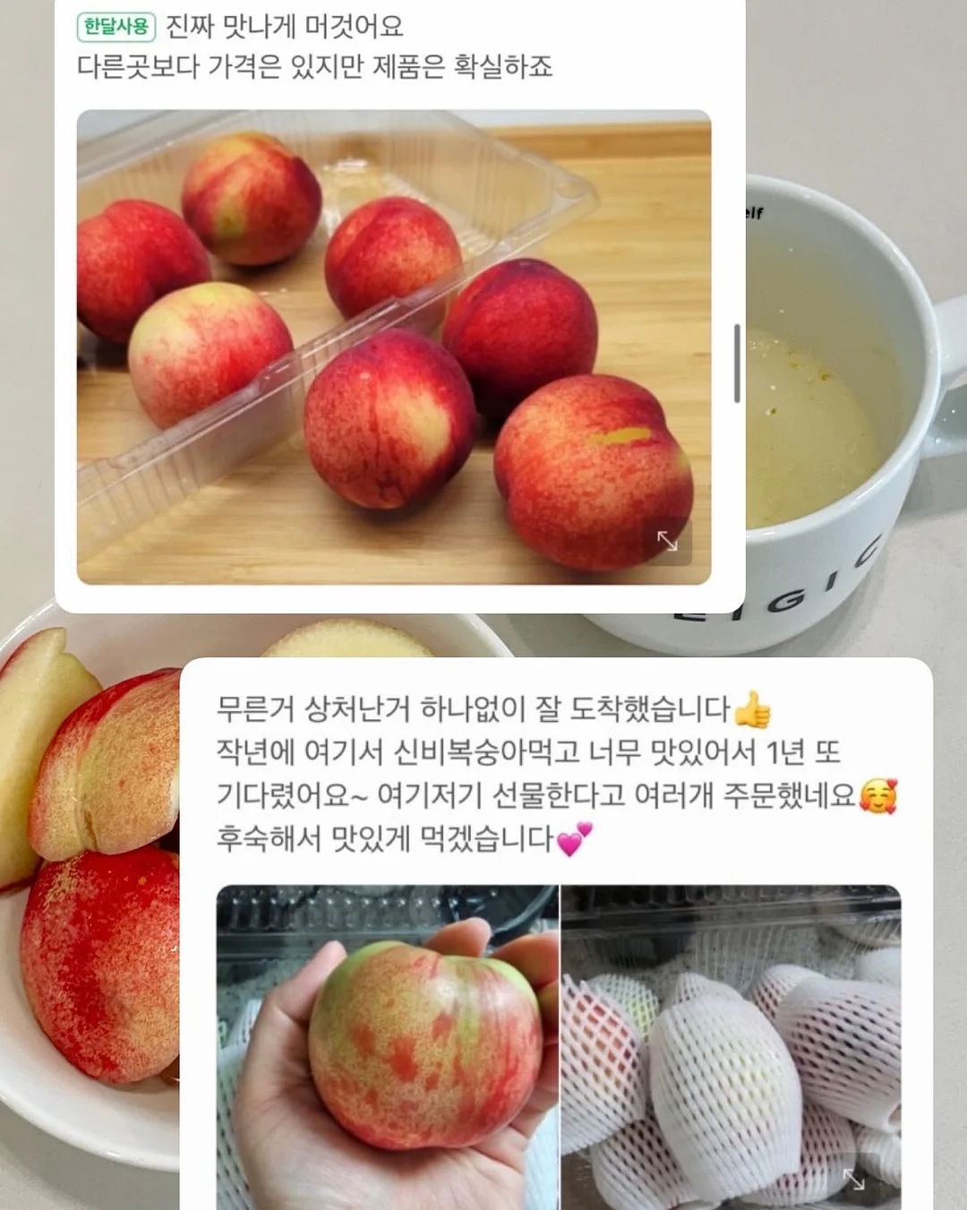 스승의날 꽃다발 13
