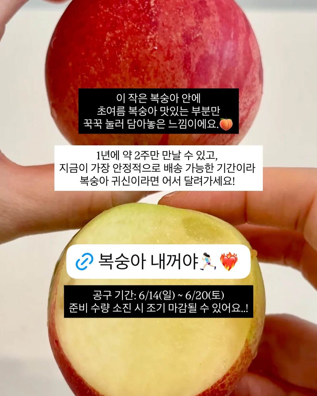 스승의날 꽃다발 14