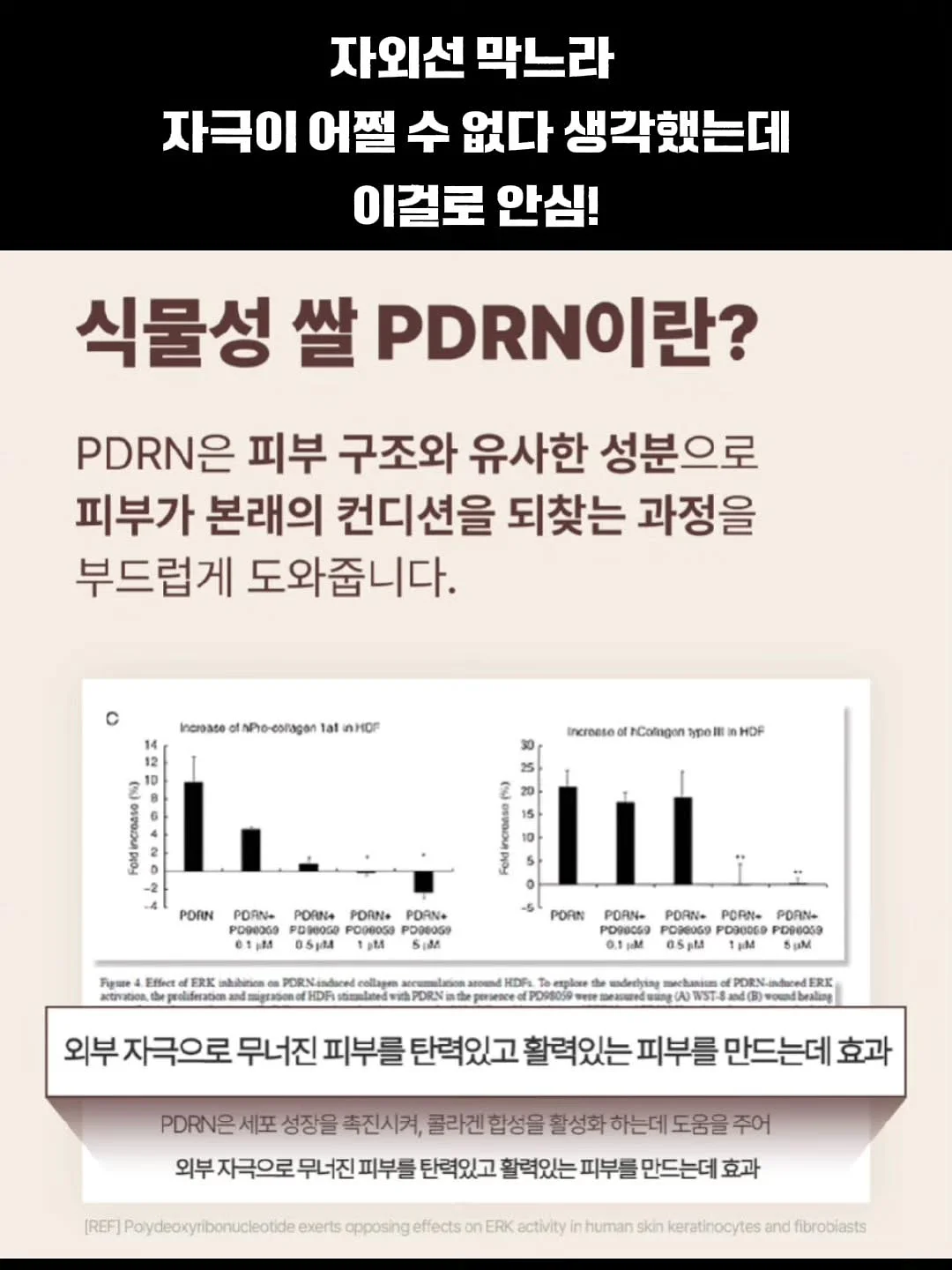 에피벗 쿠션 12