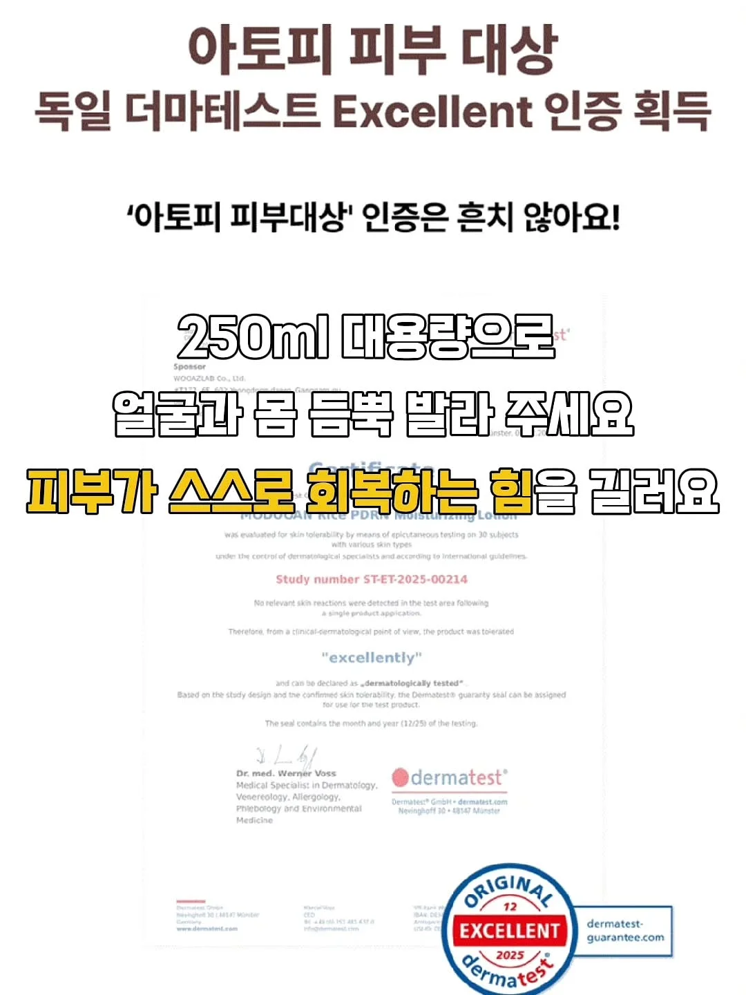 에피벗 쿠션 19