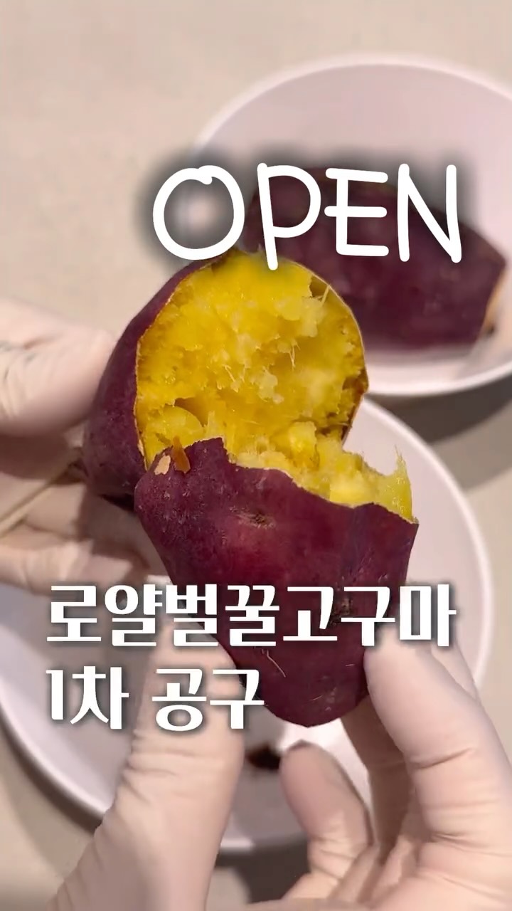 국내 원단 스카프