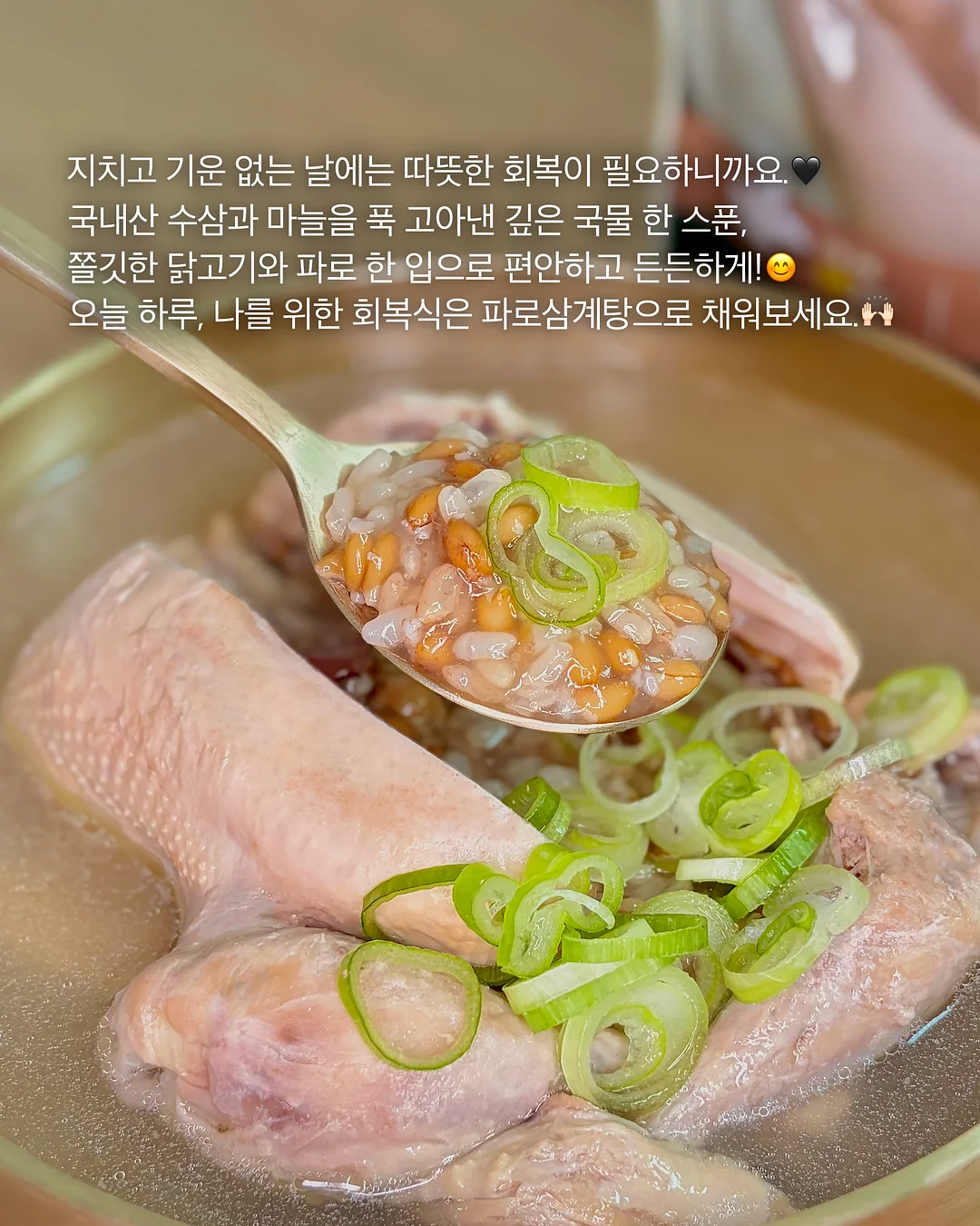 신상 코디 모음 3