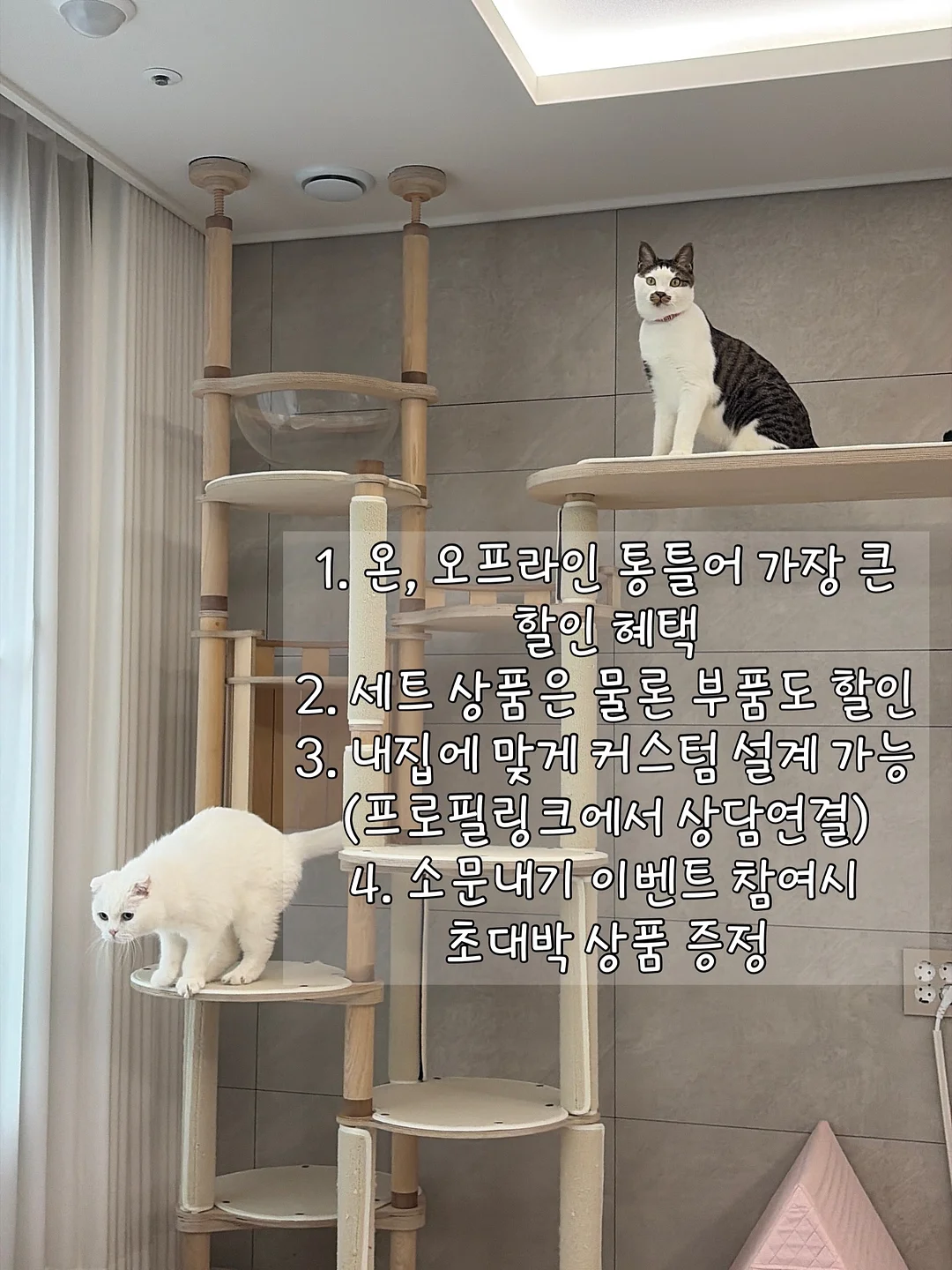 생일 현수막 풍선 세트 2