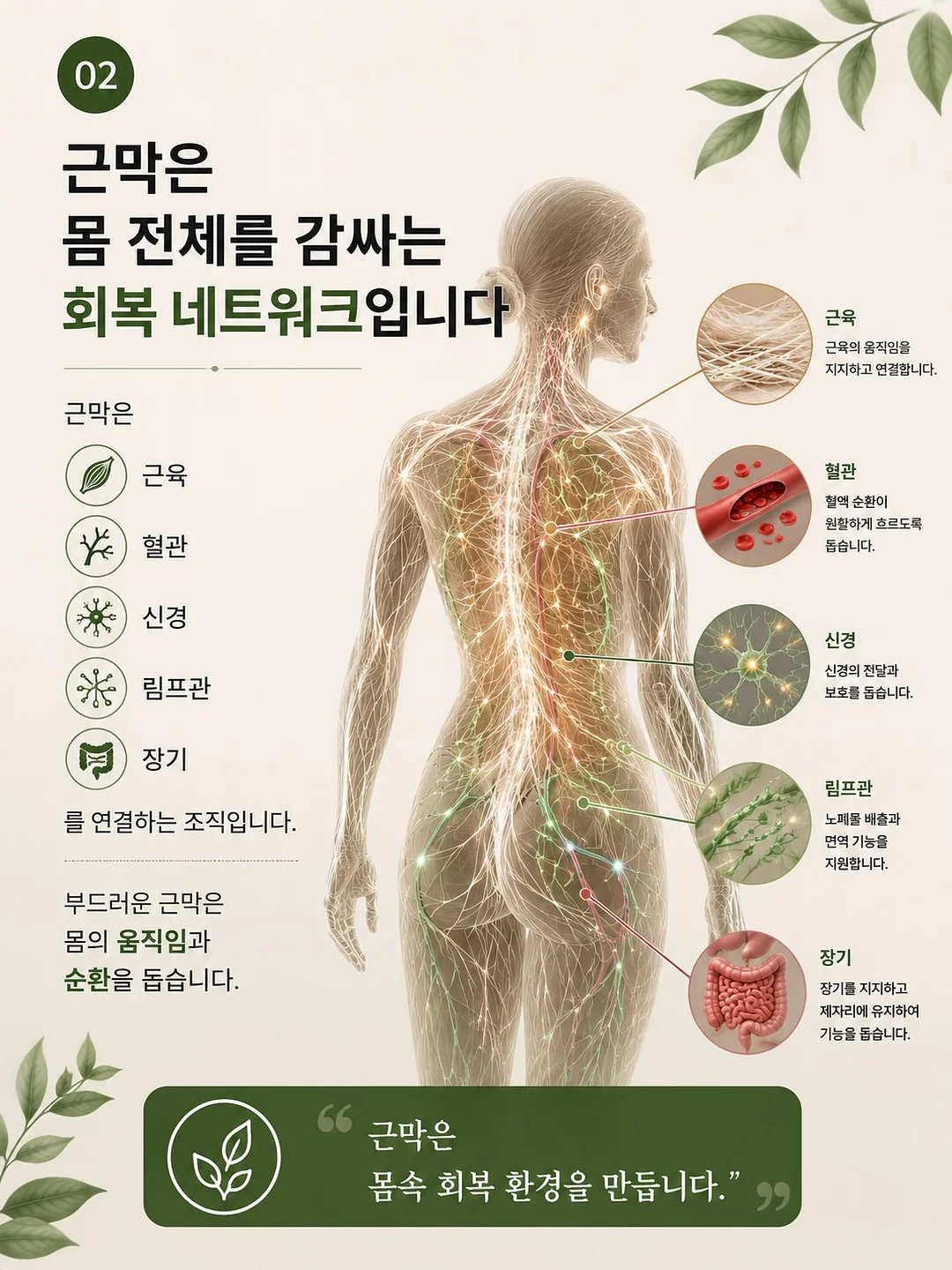 살안타템 티셔츠 2