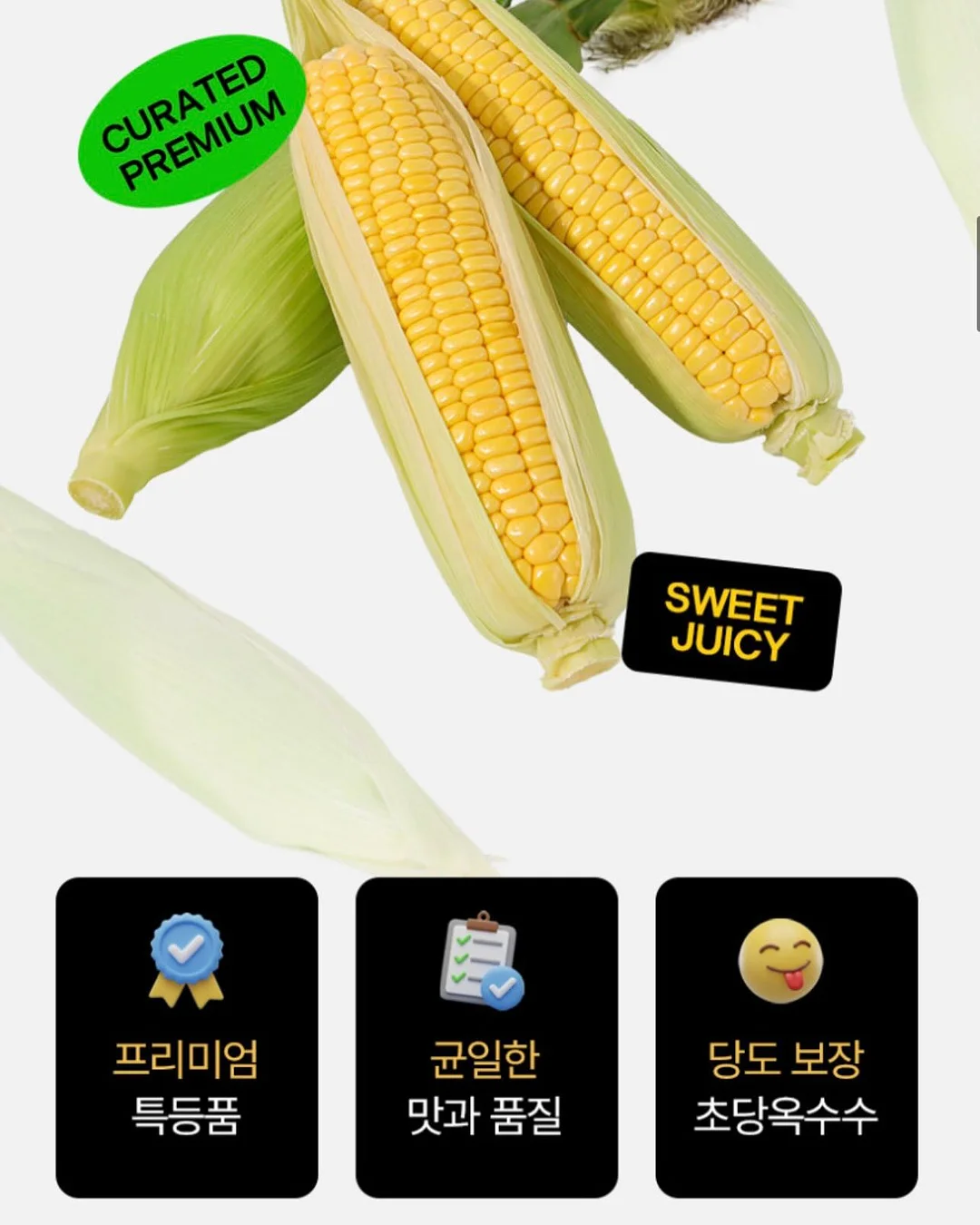 연세유업 세브란스A2 프로틴 6