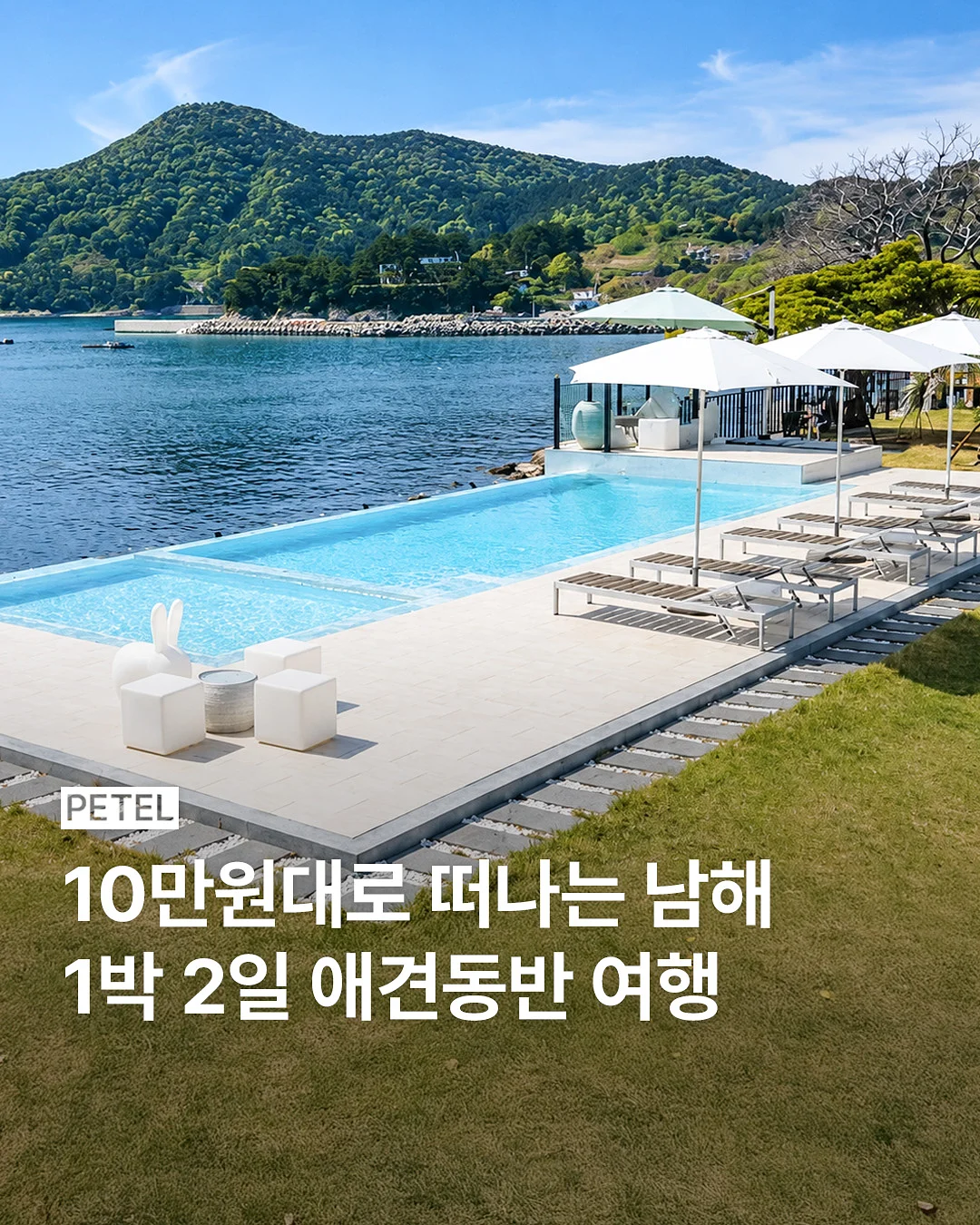 반려견 산책 교감 그룹수업 1