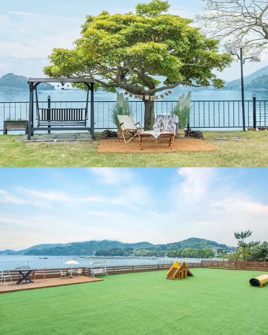 반려견 산책 교감 그룹수업 3