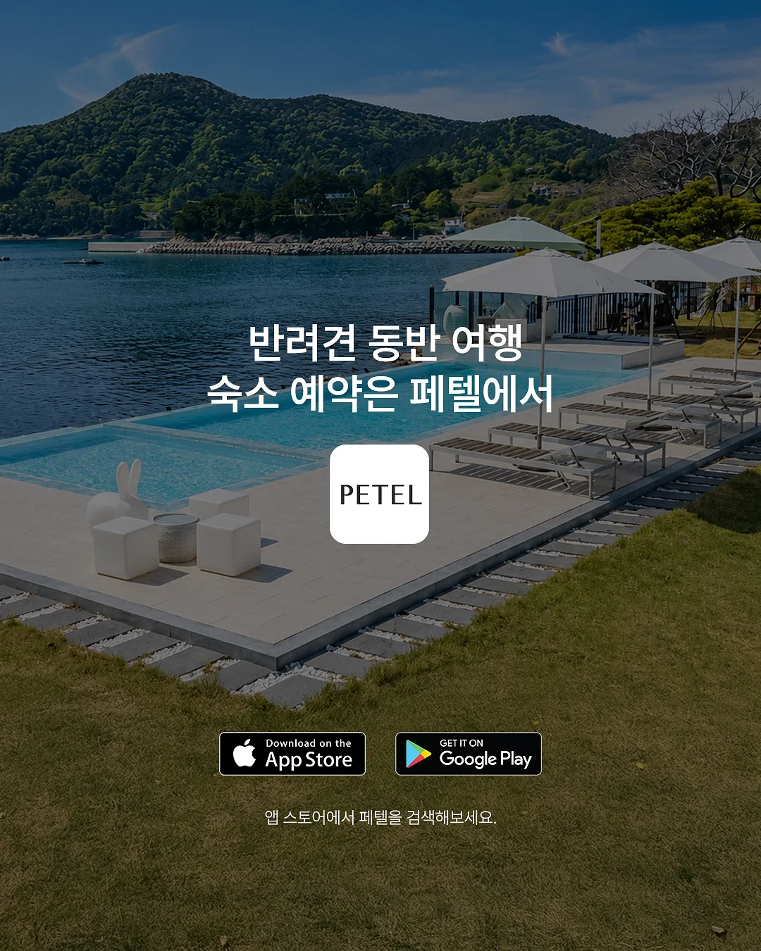 반려견 산책 교감 그룹수업 10
