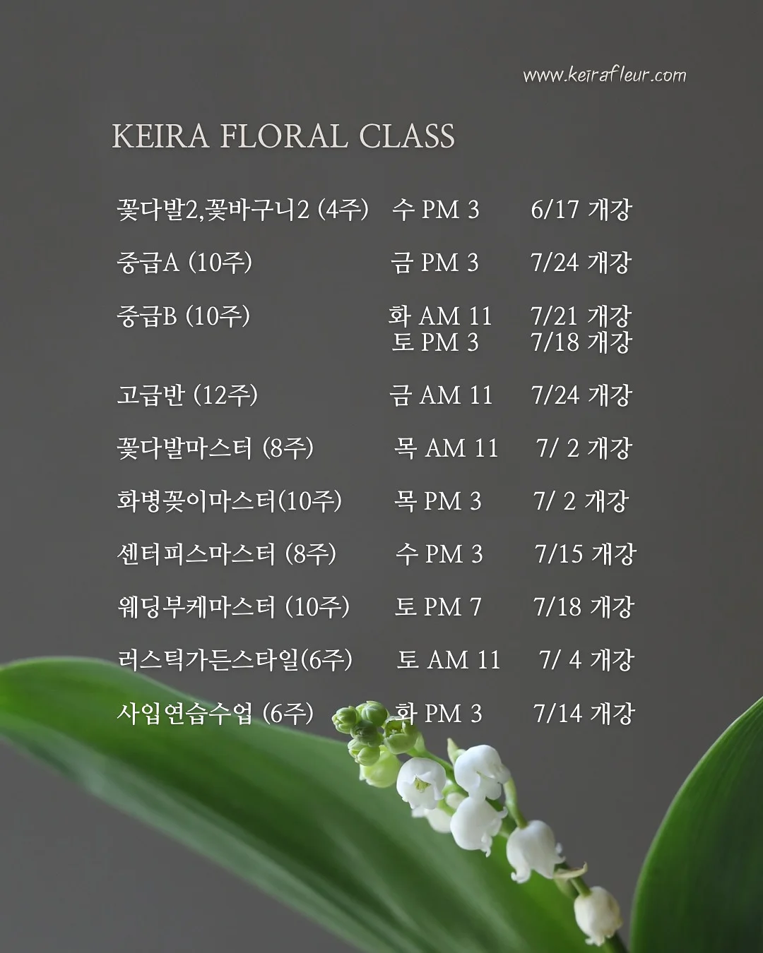 파로효소 2