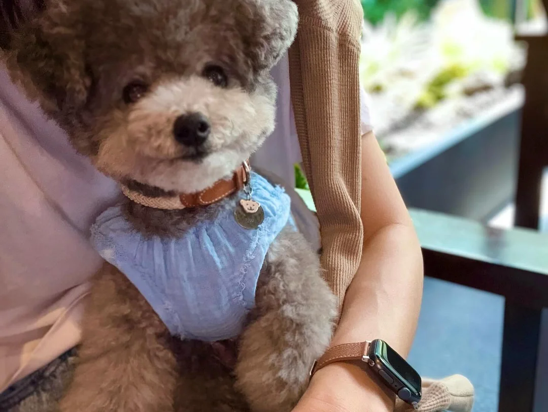 노르딕슬립 홈웨어 4