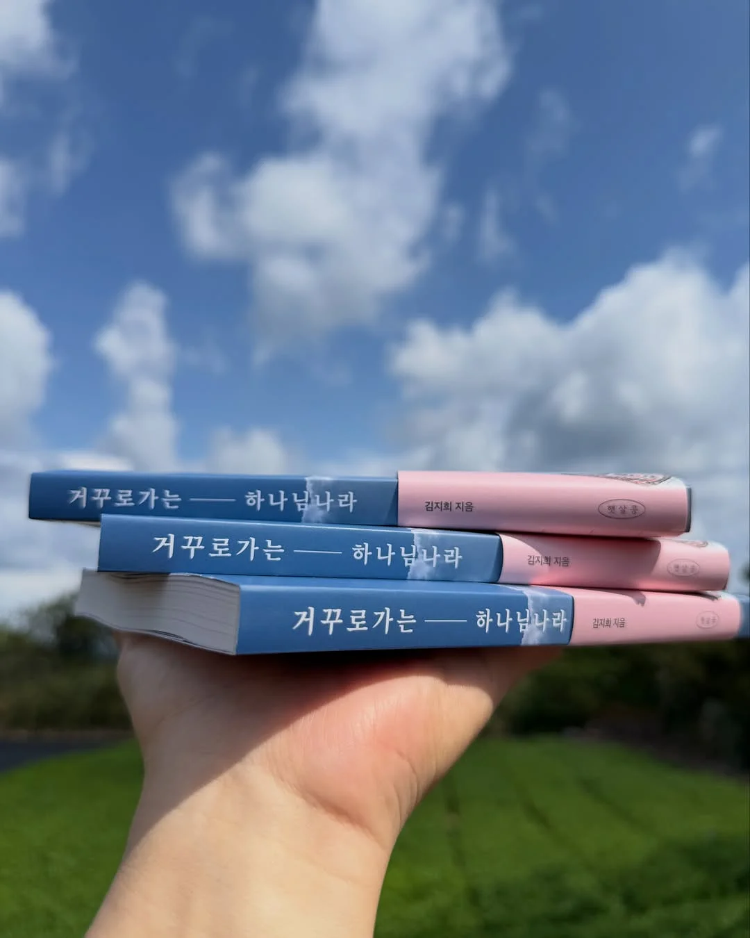항산화 성분 식품 12