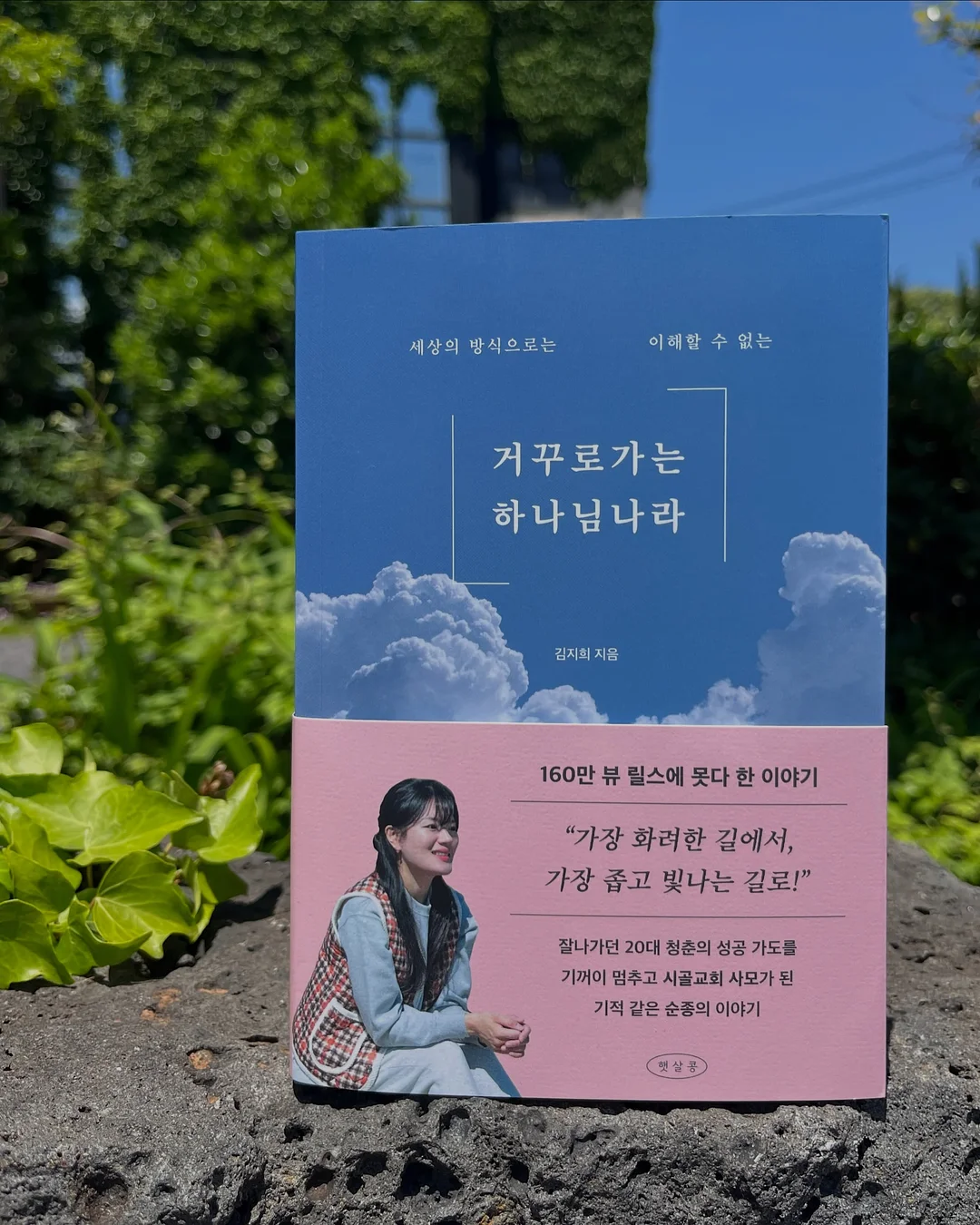 항산화 성분 식품 13