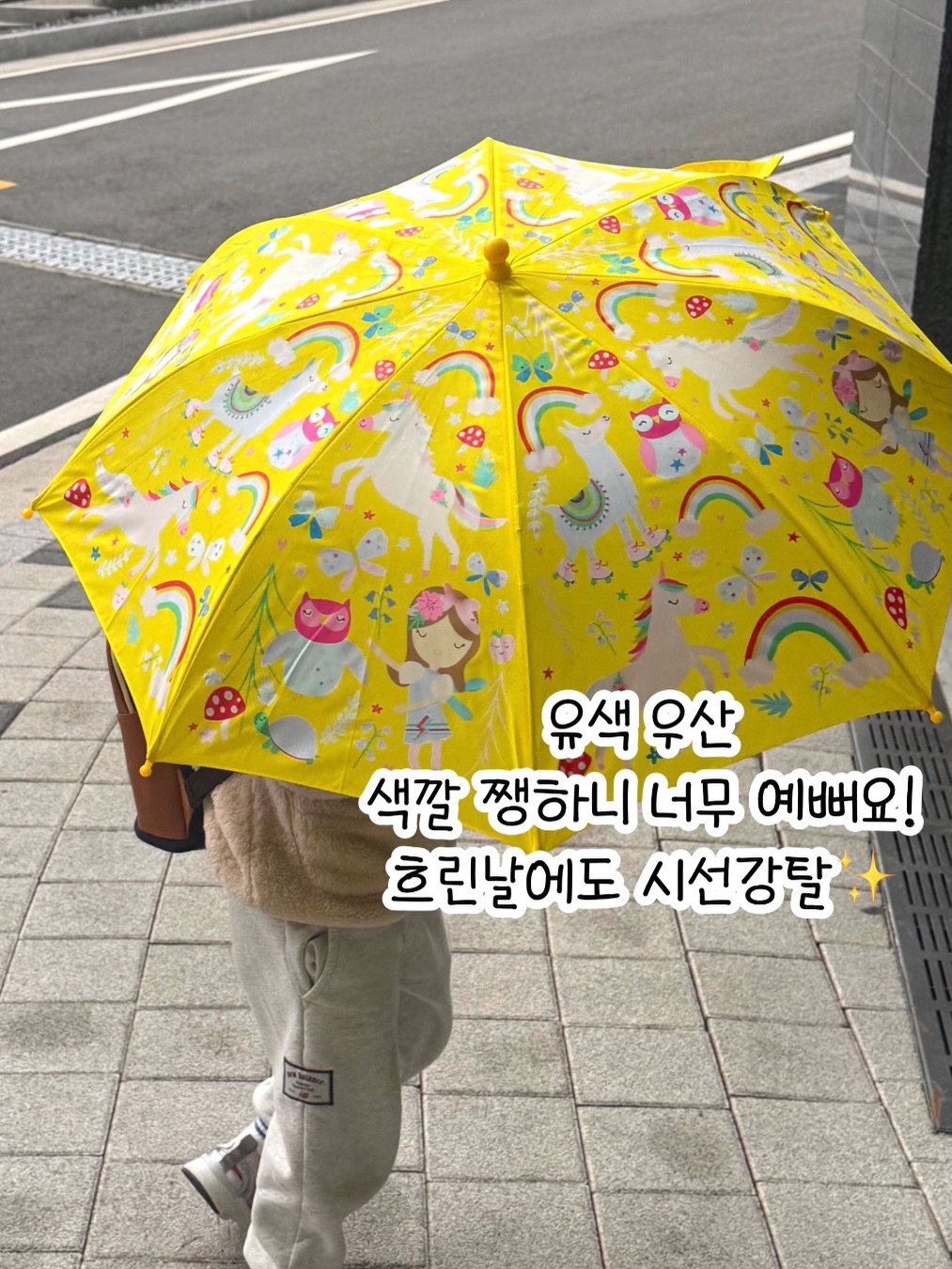 틴케이스 실등 14