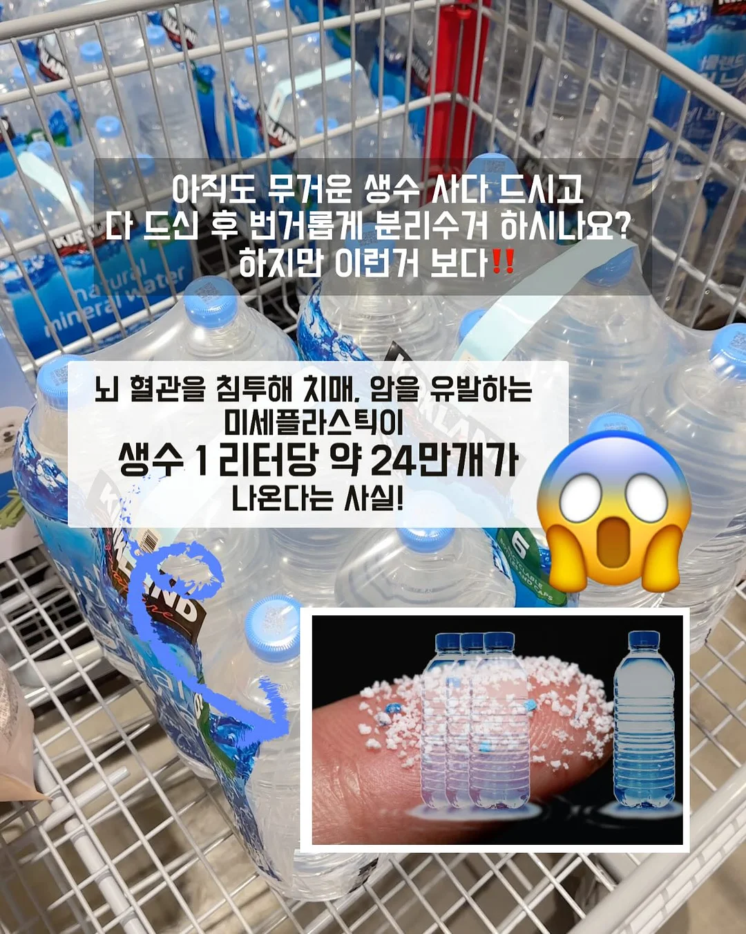 여름 1차 오픈 상품 5