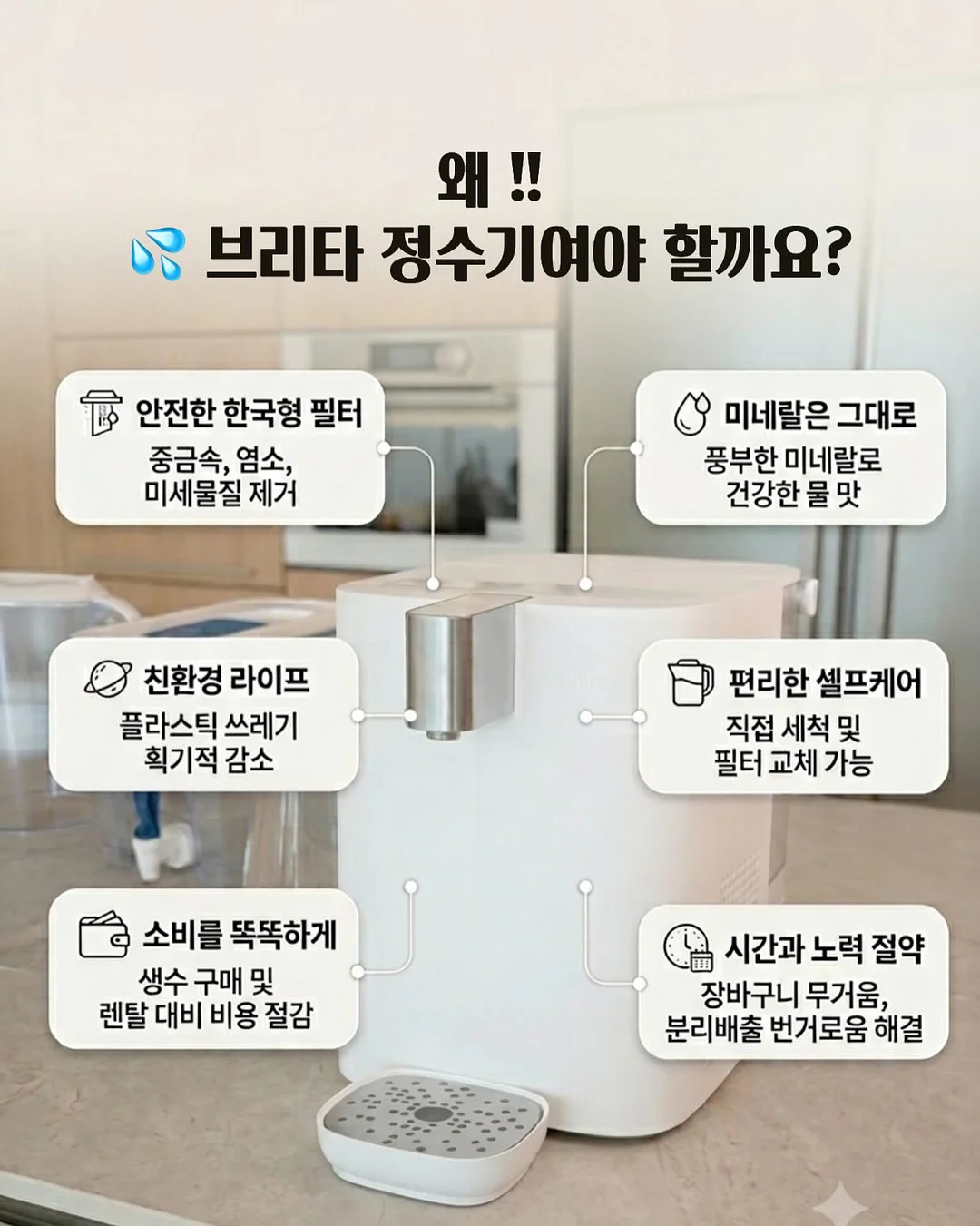 여름 1차 오픈 상품 6
