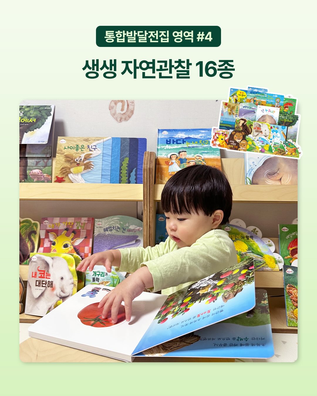 마이아 두유제조기 5
