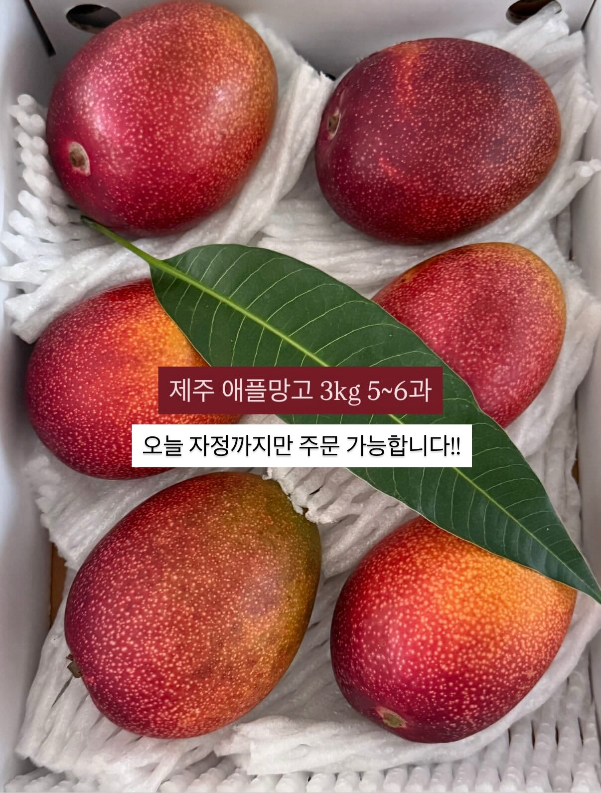 비디비치 얼티밋 워터리 에센셜 선크림 1