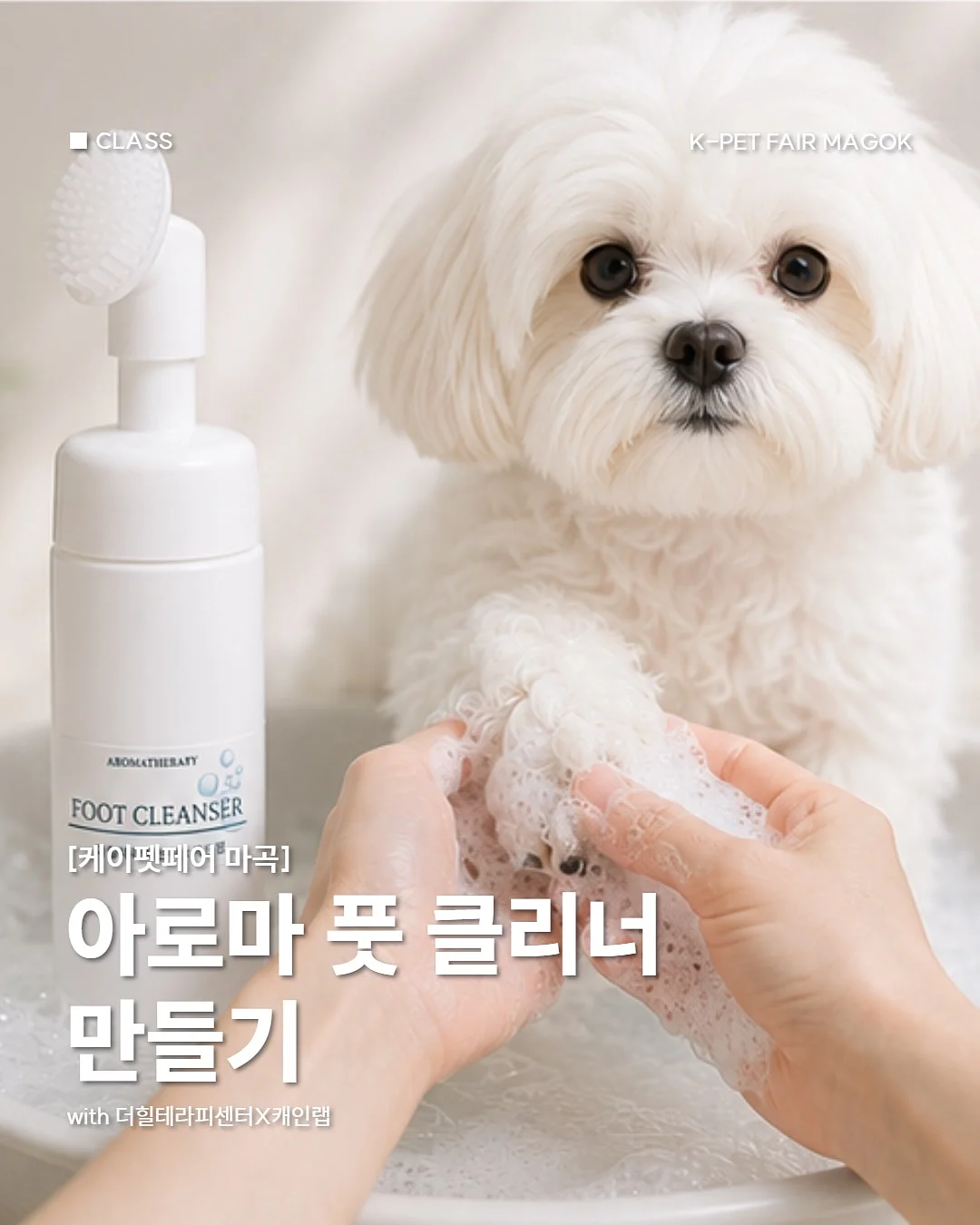 초기 이유식 식단표 1