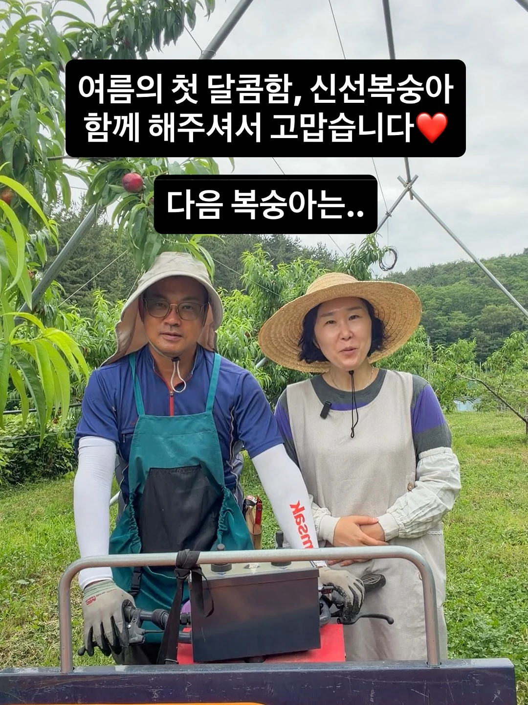 리스테이 연월 평일 1박 무료숙박권 1