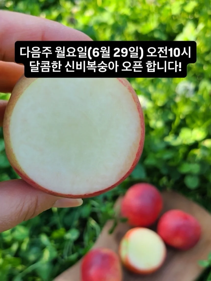 리스테이 연월 평일 1박 무료숙박권 3