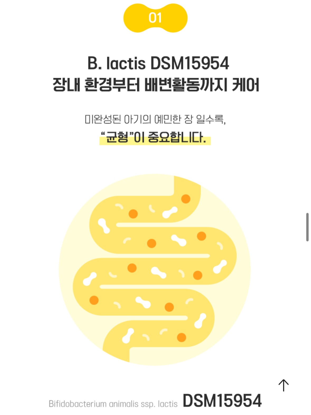 시스템 다이어리 11