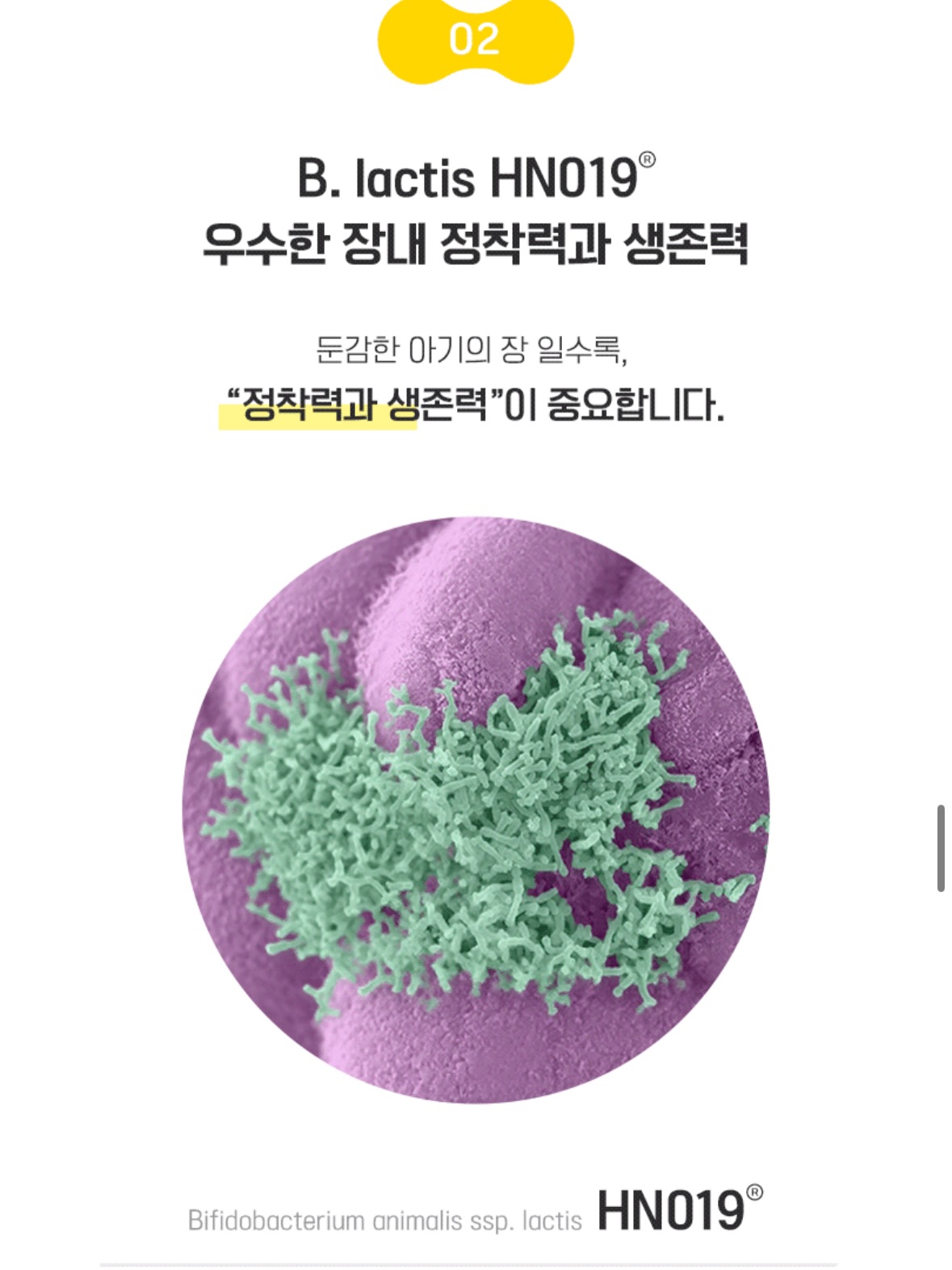 시스템 다이어리 12