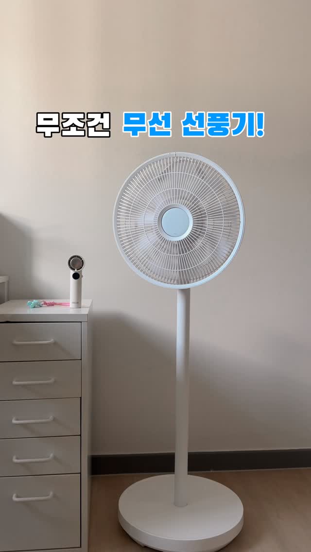 차 거름망