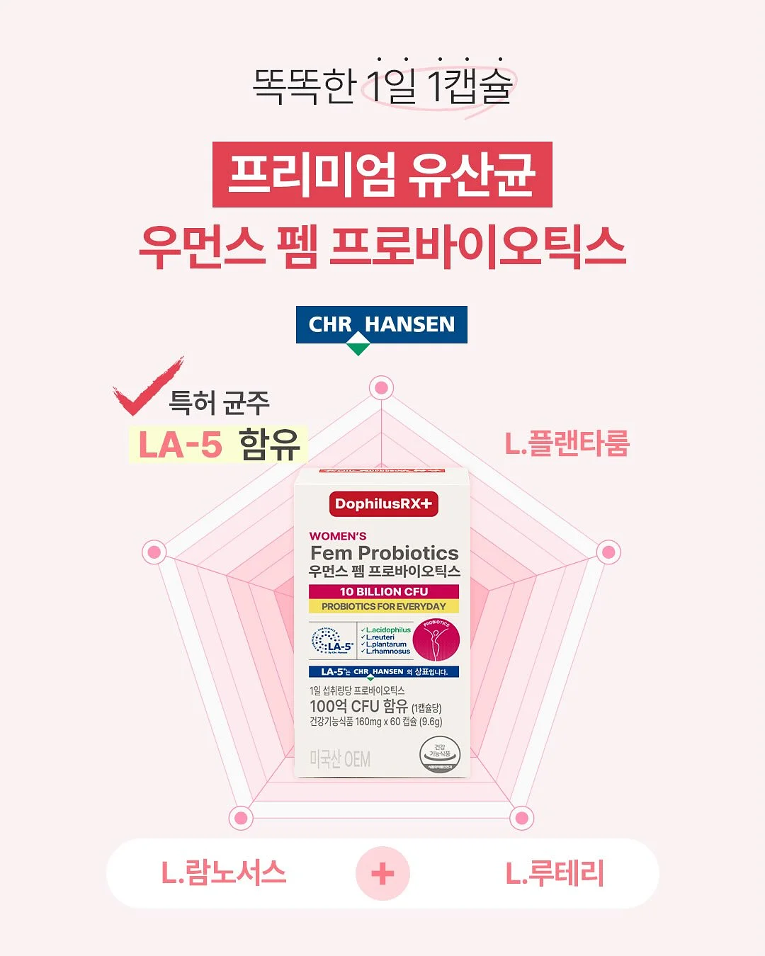 피클 딥소스 1