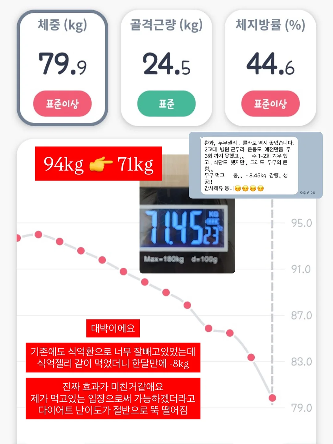 ISS 메쉬백 2