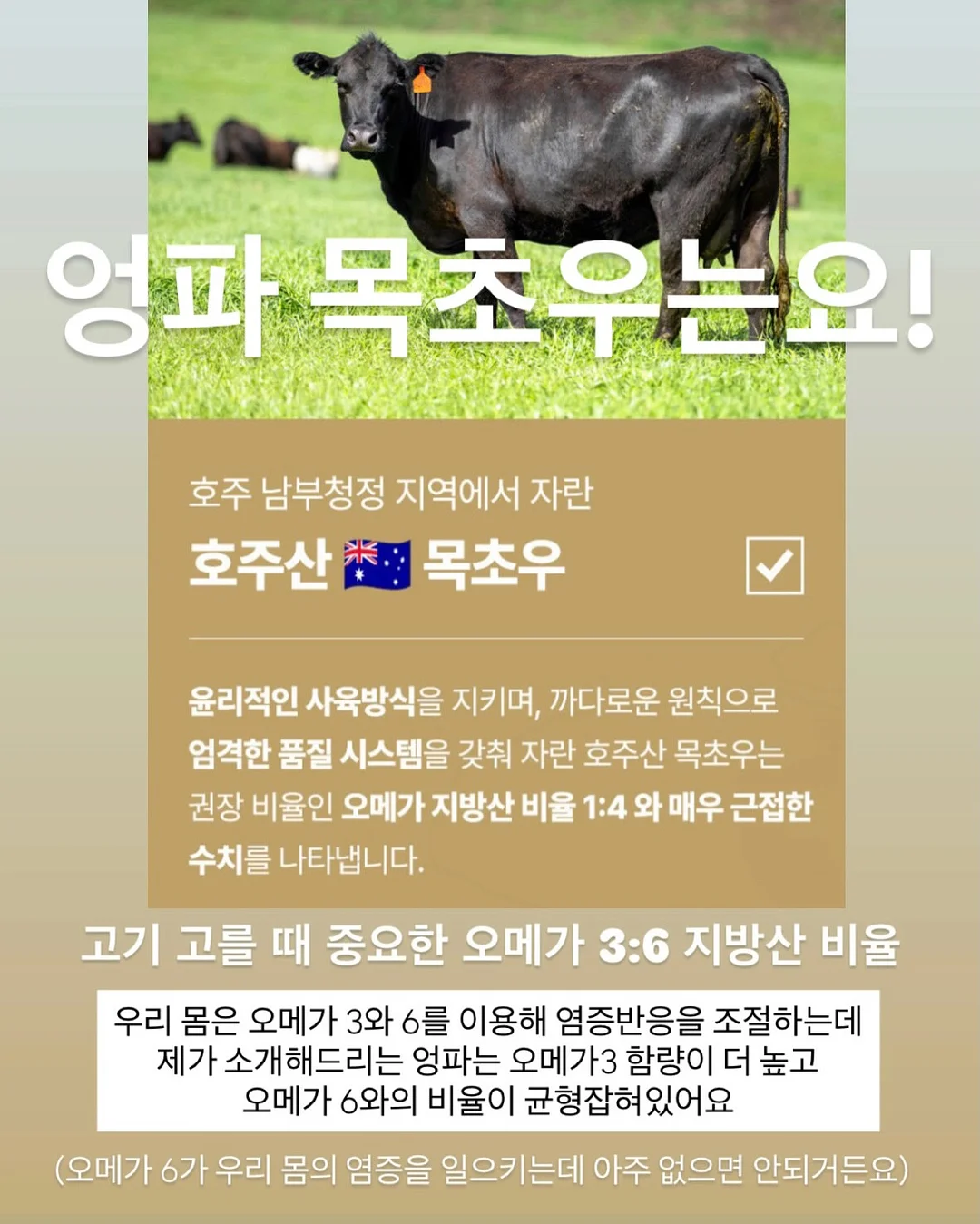 한글 블록 6