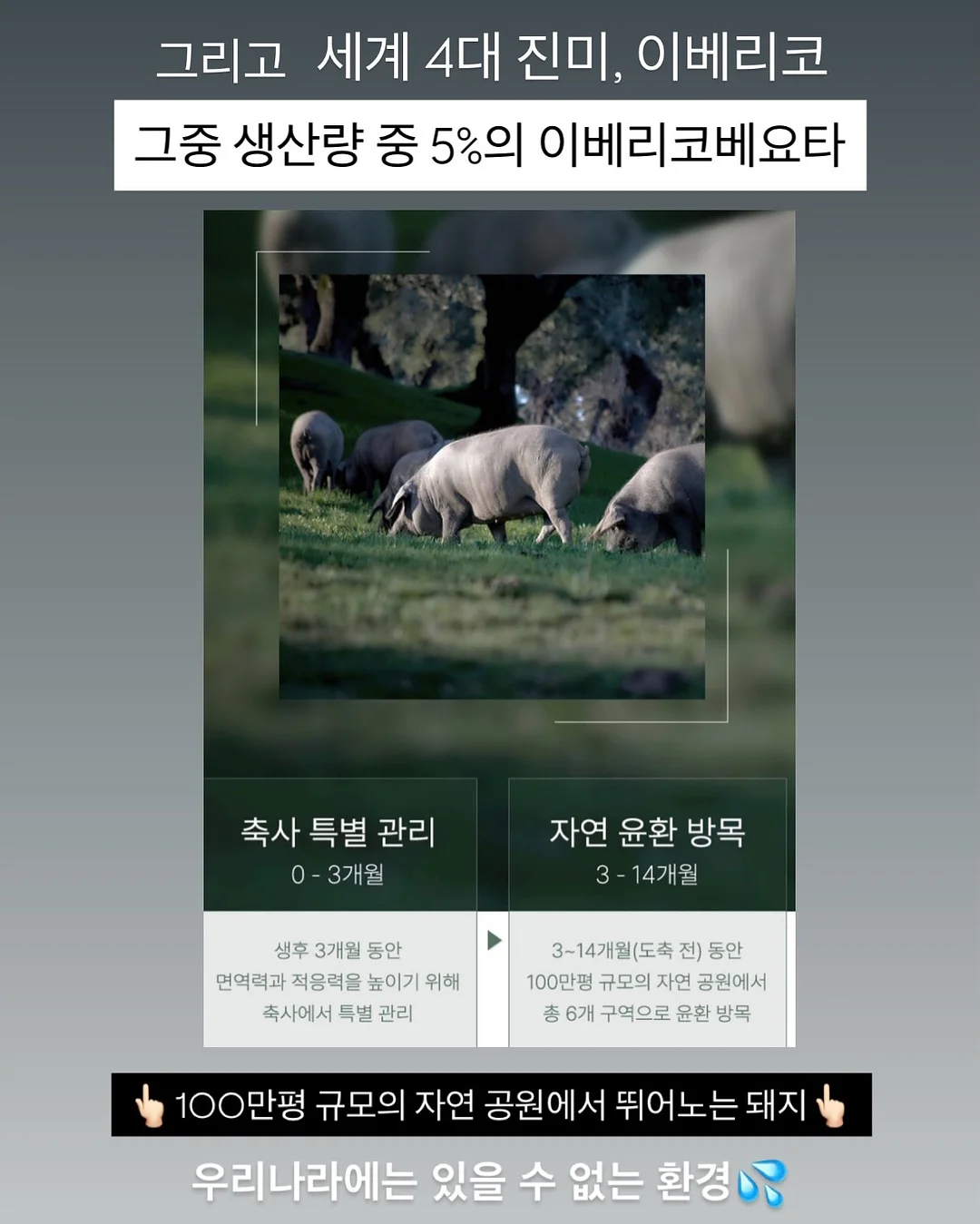 한글 블록 8