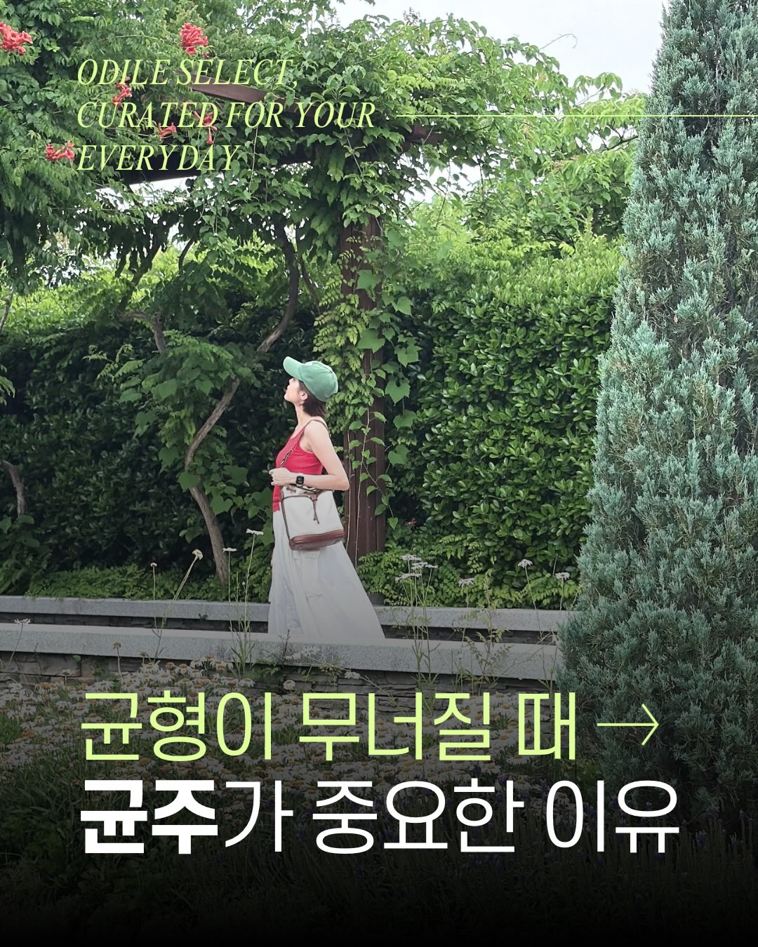 가정의 달 케이크 1