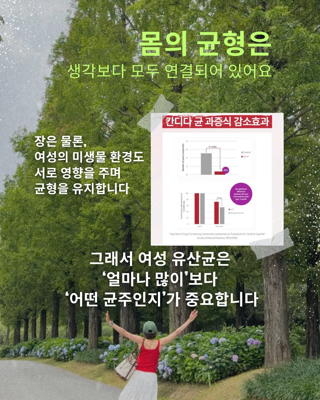 가정의 달 케이크 3