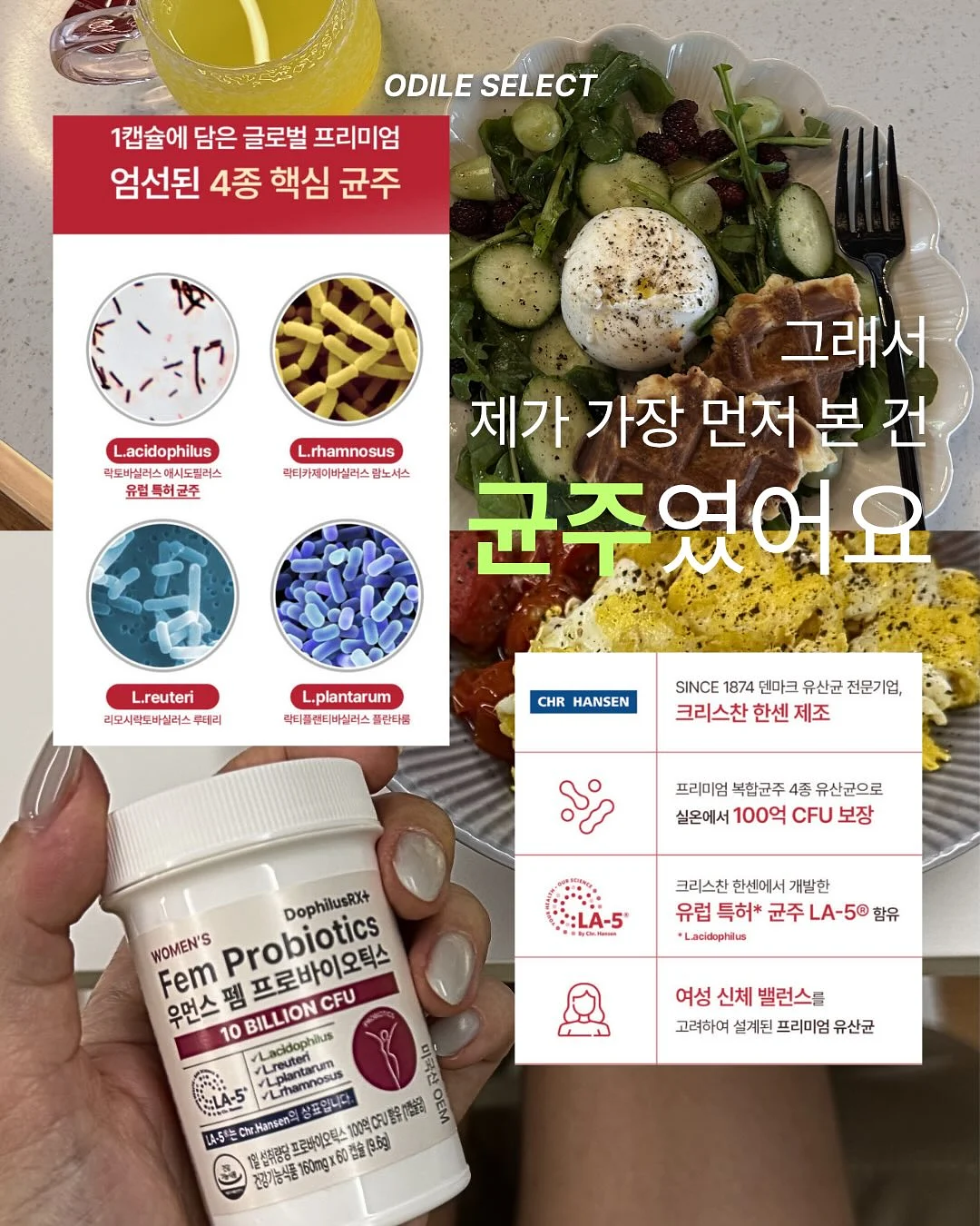 가정의 달 케이크 4
