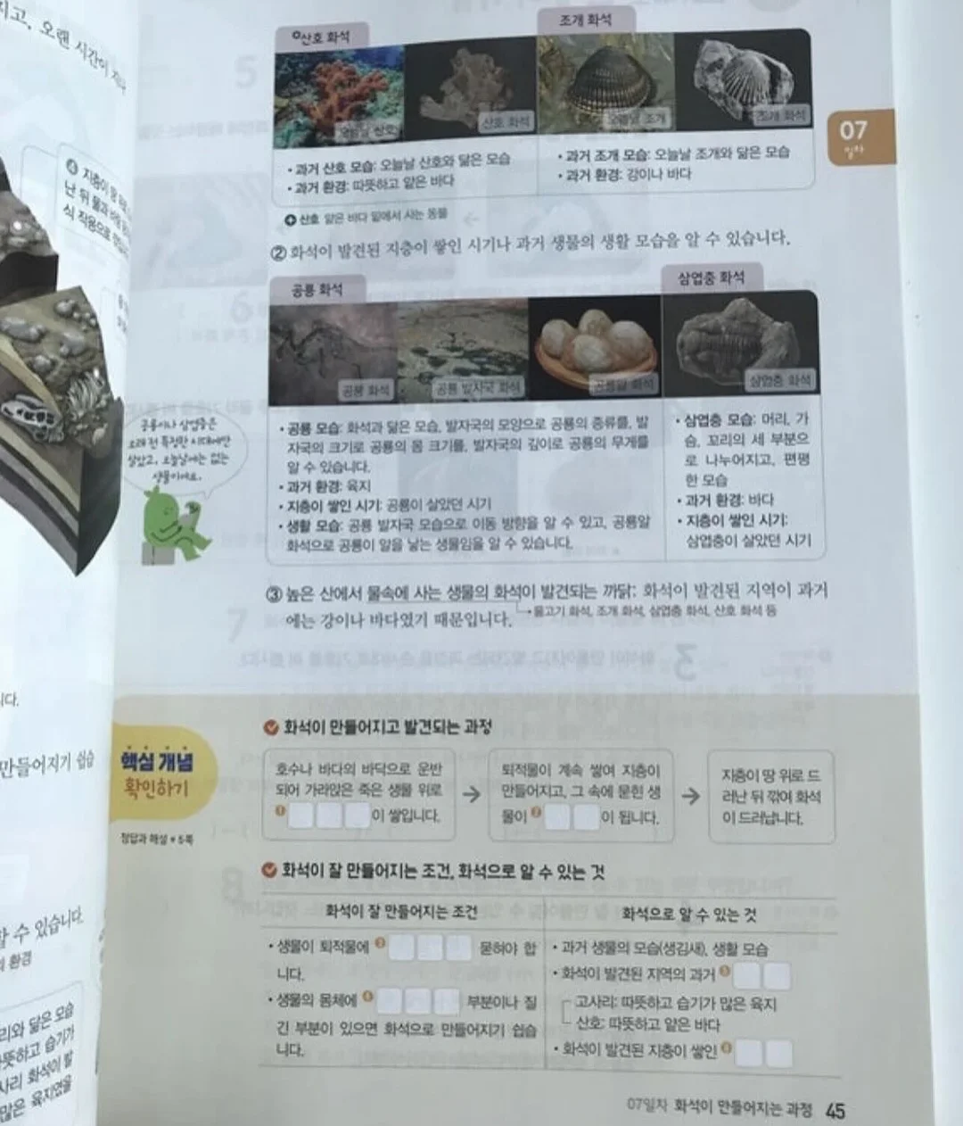 블루베리 요거트 믹스 14