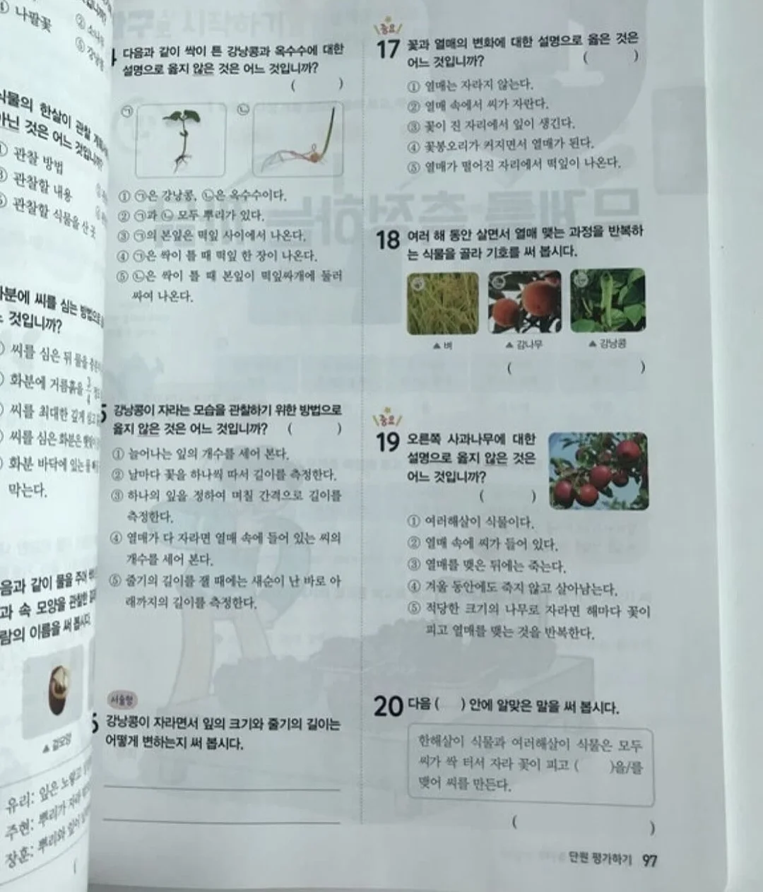 블루베리 요거트 믹스 15