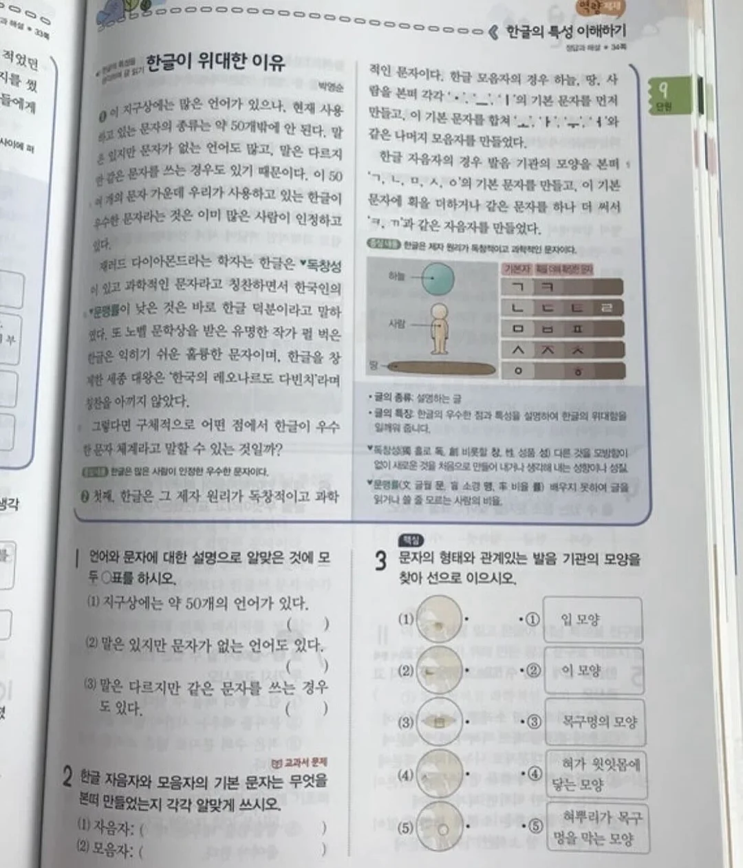 블루베리 요거트 믹스 17