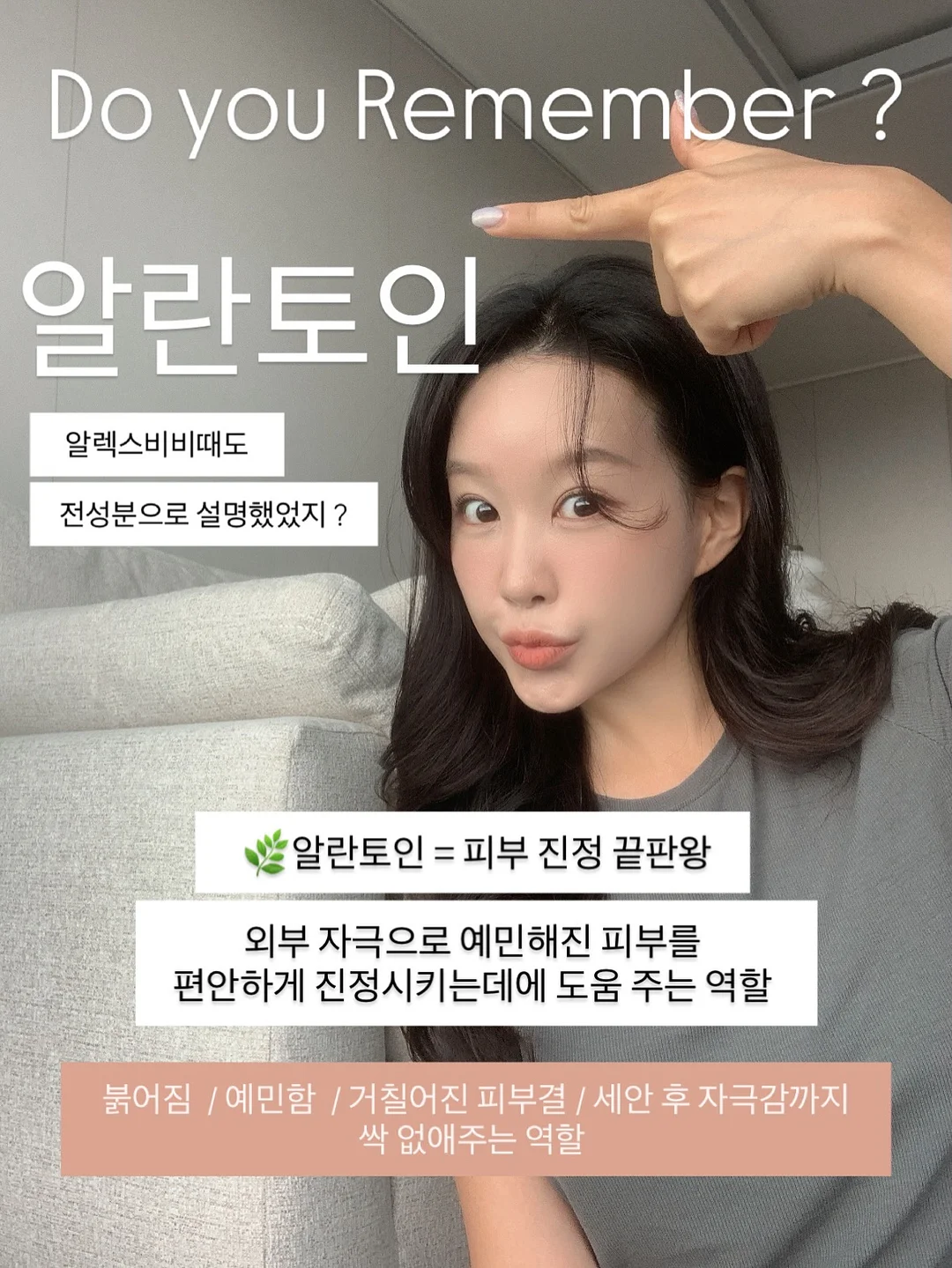 오토x가든킹 식물 17