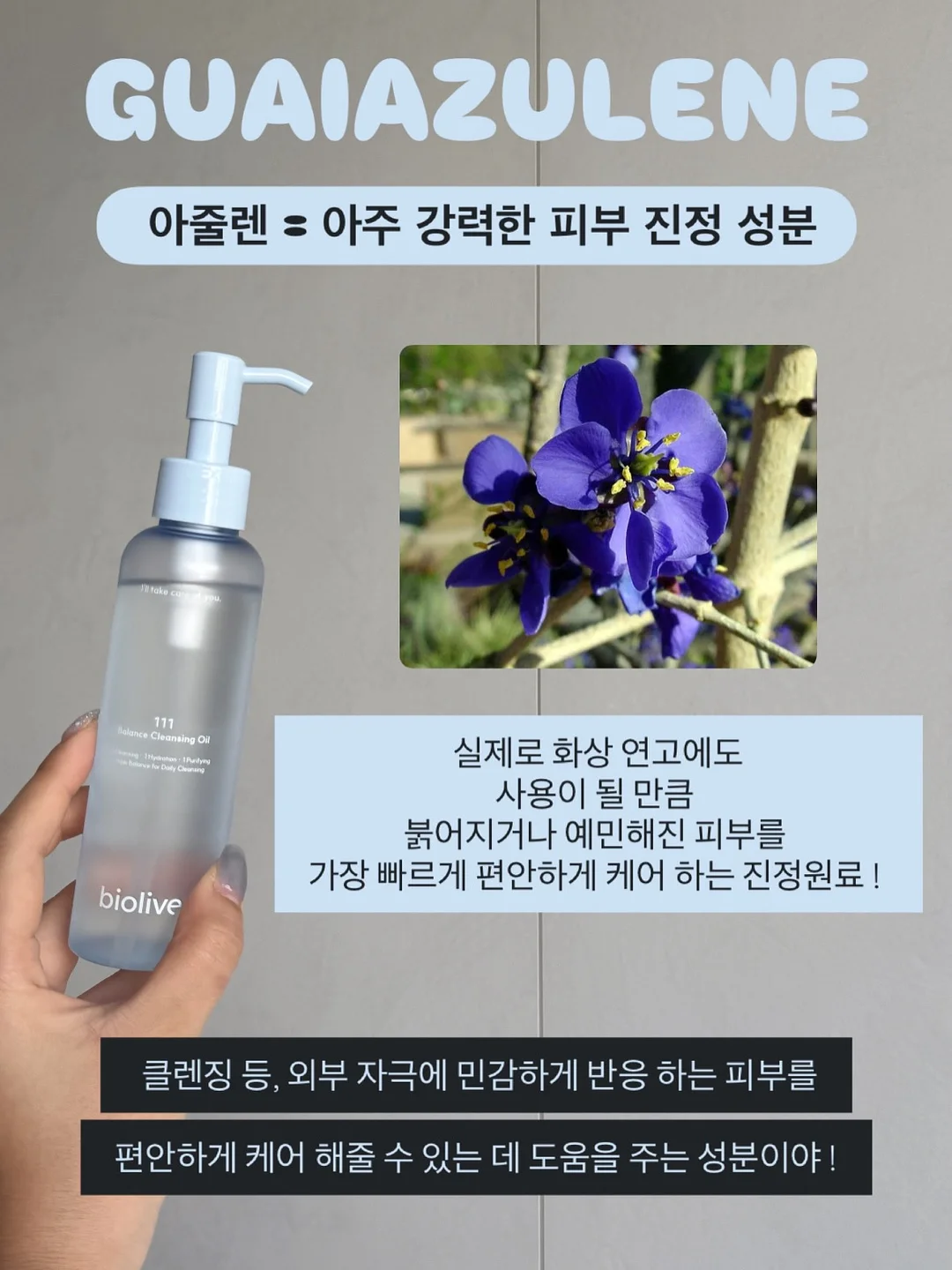 오토x가든킹 식물 18