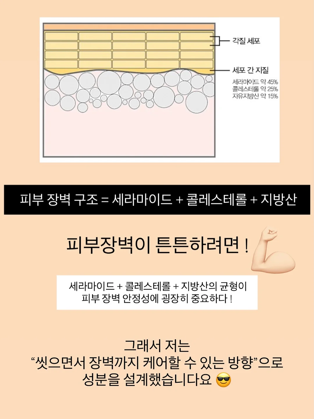 오토x가든킹 식물 19