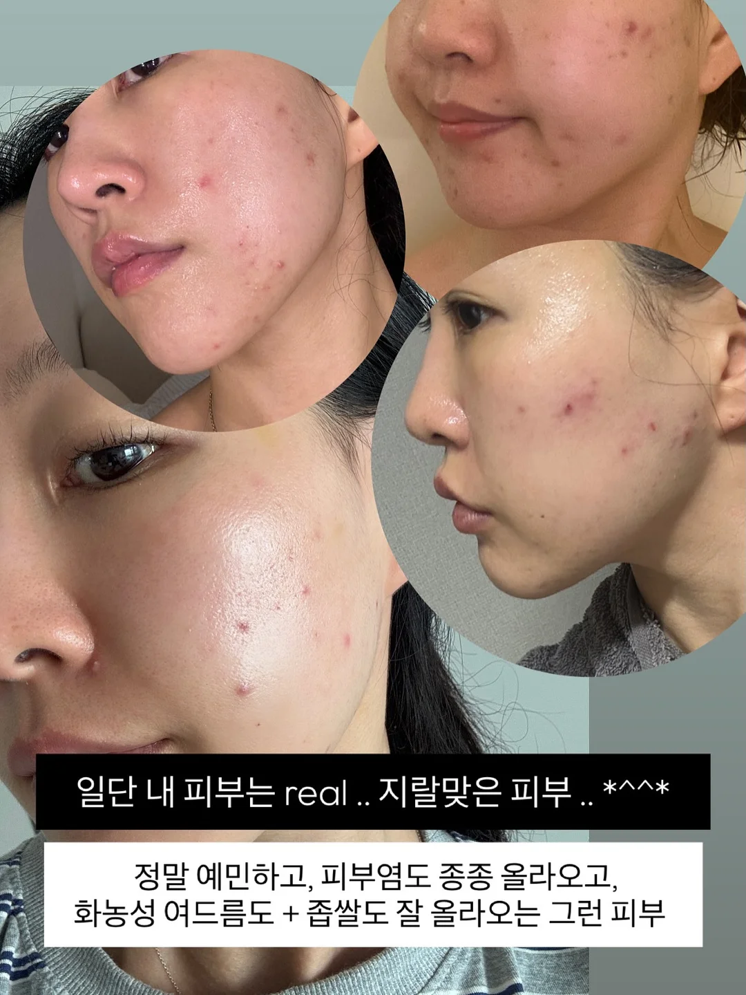 오토x가든킹 식물 5